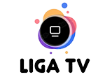ligatv.fun | Личный кабинет